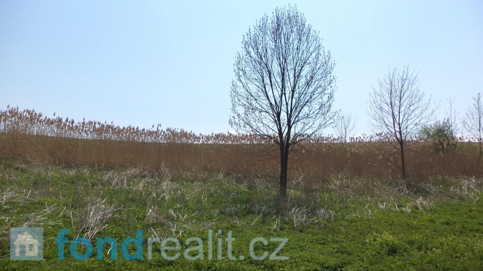Prodej pozemku 8787 m² - foto 6