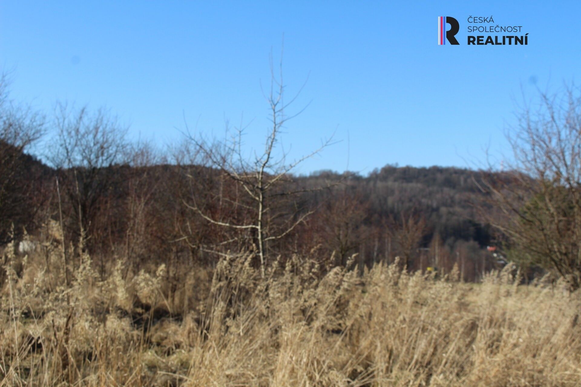 Prodej nemovitosti 6300 m² - foto 6