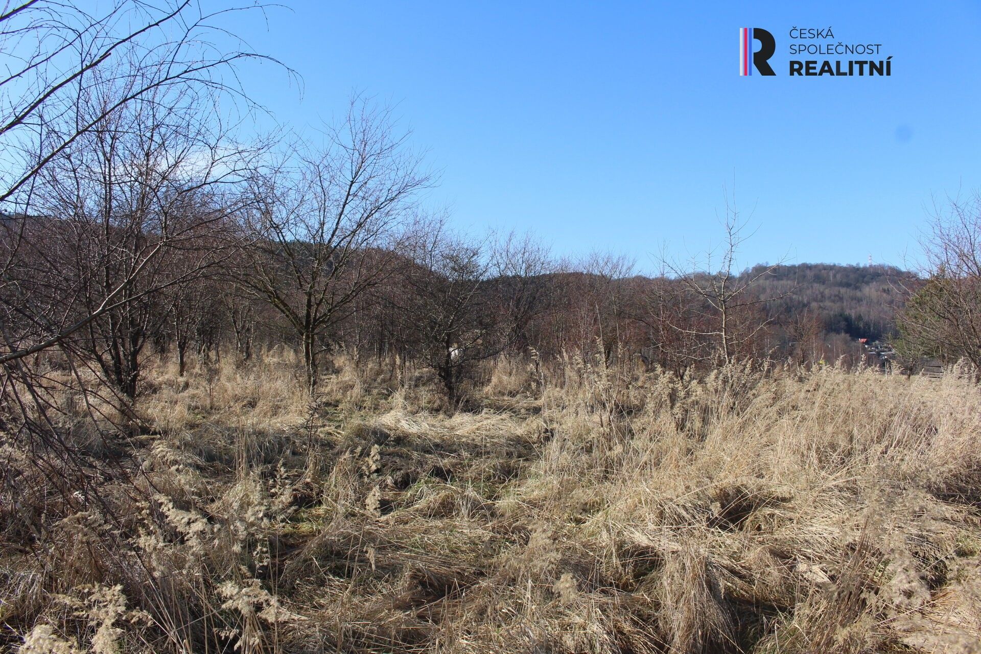 Prodej nemovitosti 6300 m² - foto 5
