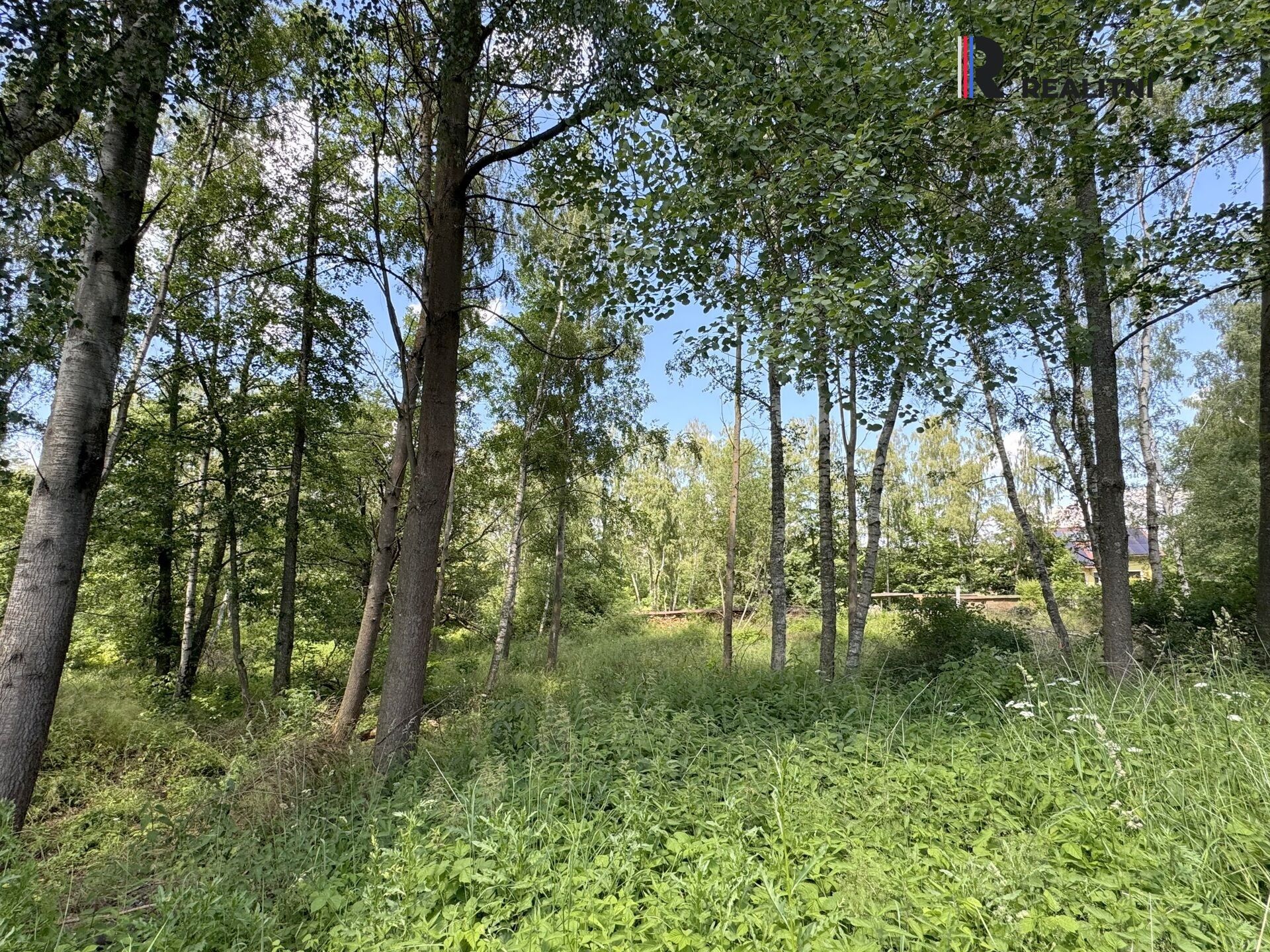 Prodej nemovitosti 3000 m² - foto 3