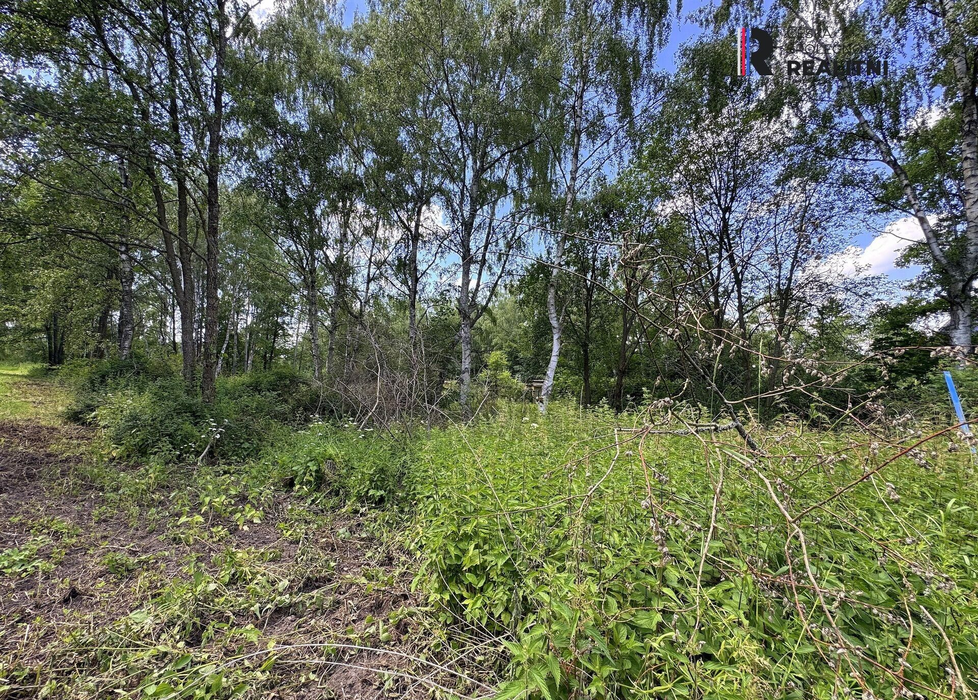 Prodej nemovitosti 3000 m² - foto 4