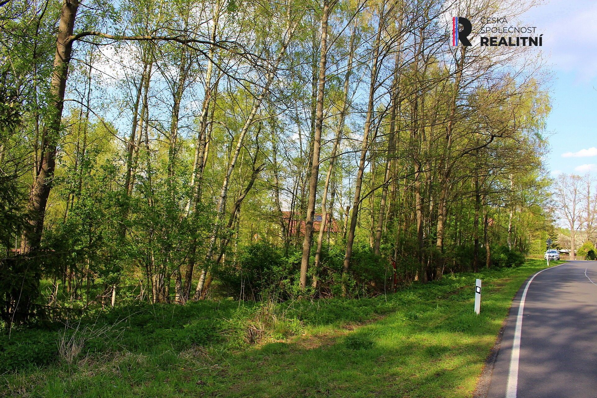 Prodej nemovitosti 3000 m² - foto 6