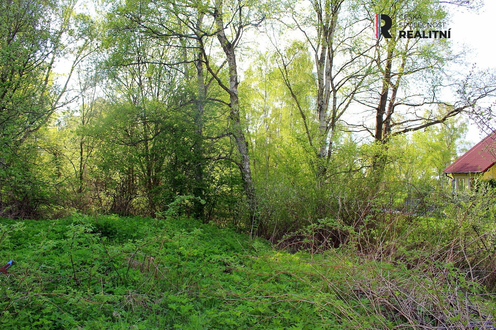 Prodej nemovitosti 3000 m² - foto 7