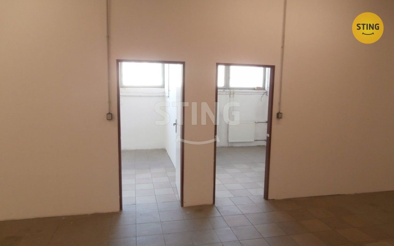 Pronájem komerčního prostoru 385 m² - foto 6