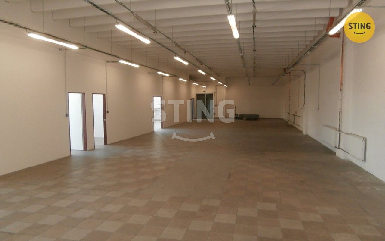 Pronájem komerčního prostoru 385 m² - foto 1