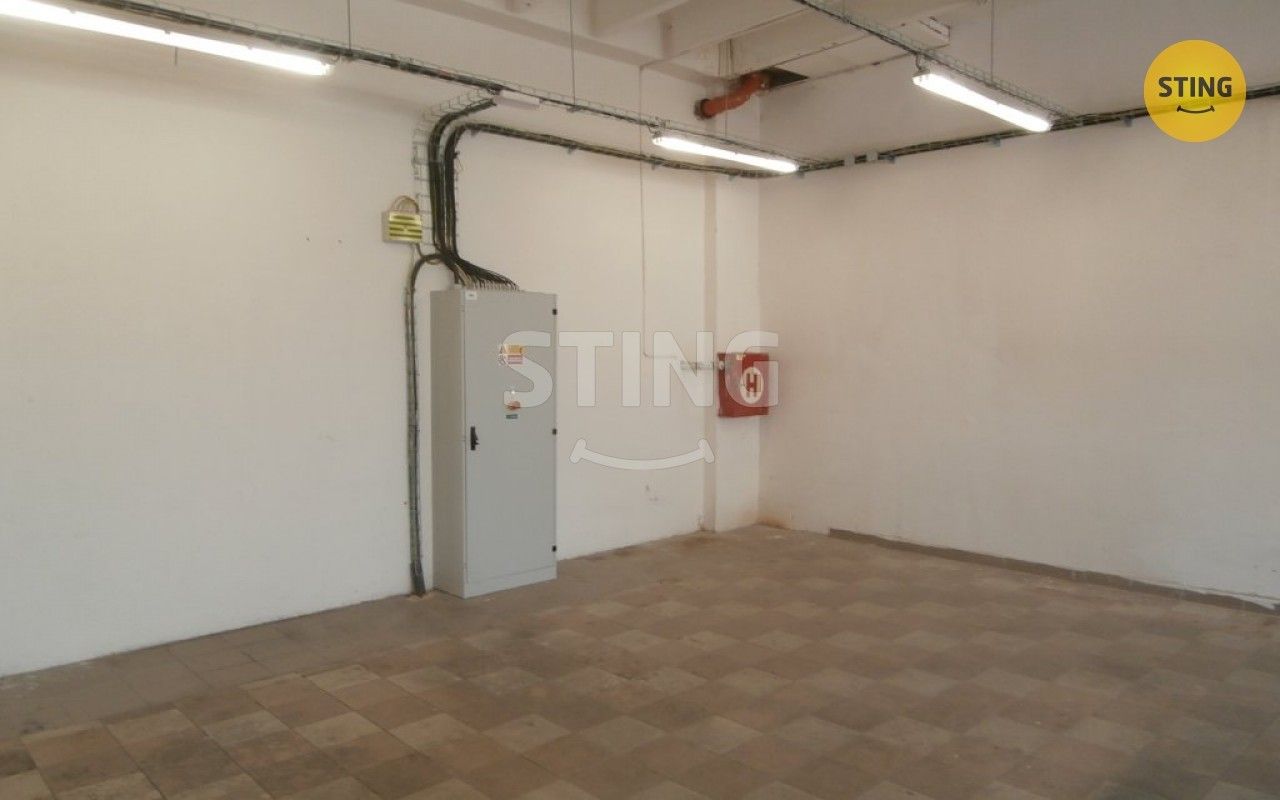 Pronájem komerčního prostoru 385 m² - foto 7