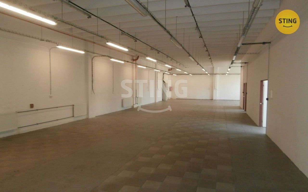 Pronájem komerčního prostoru 385 m² - foto 8