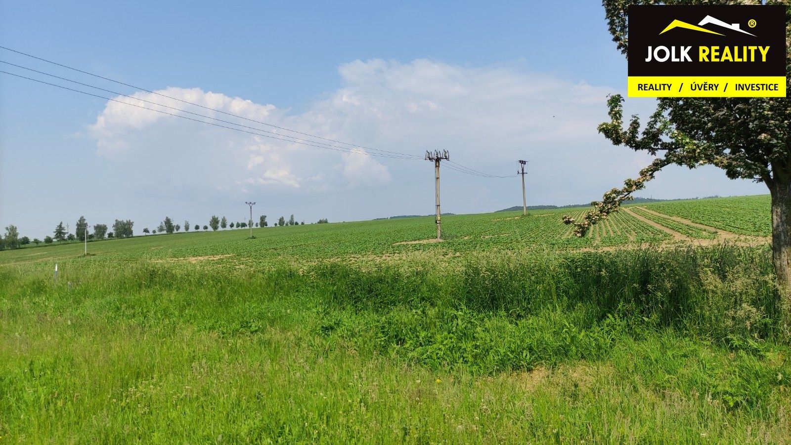 Prodej pozemku 7268 m² - foto 4