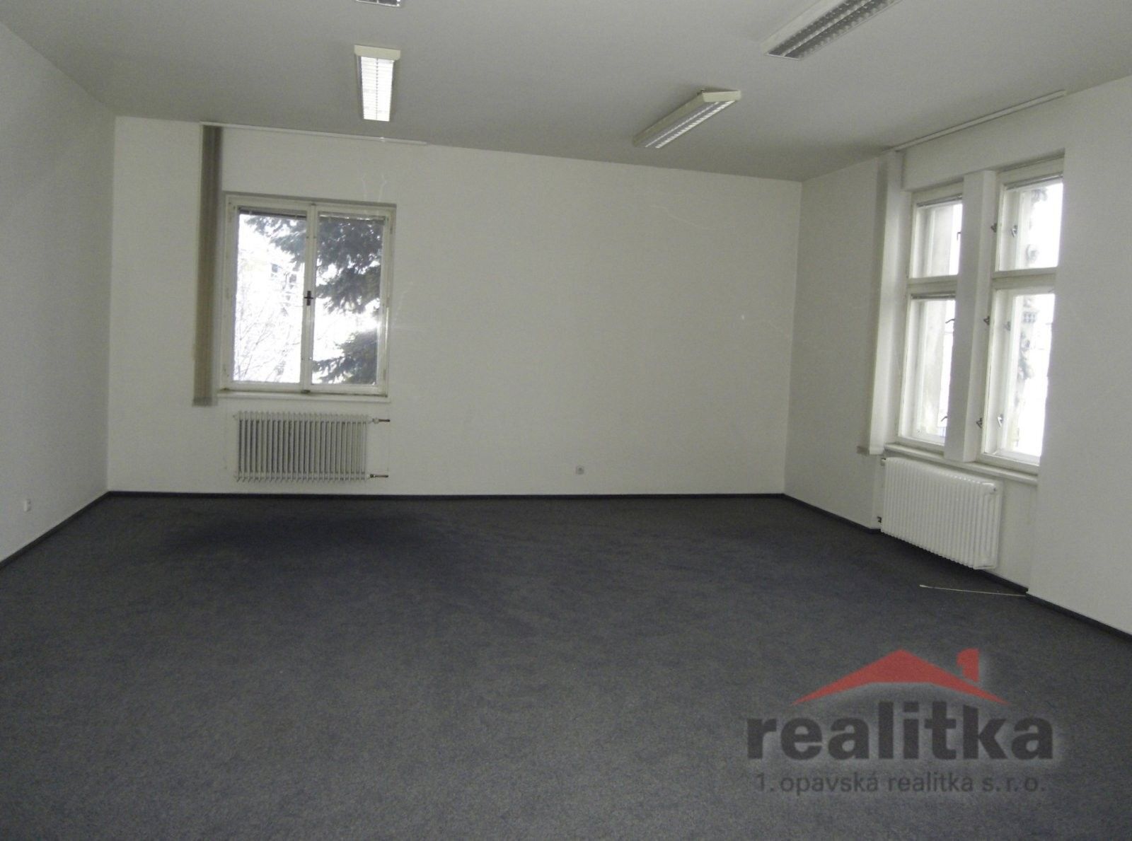 Pronájem komerčního prostoru 220 m² - foto 1
