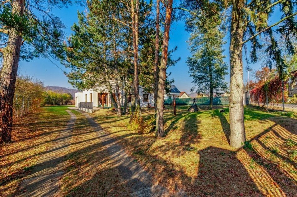 Prodej domu 262 m² - foto 9