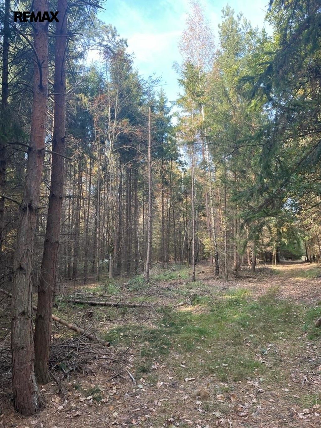 Prodej pozemku 1919 m² - foto 5