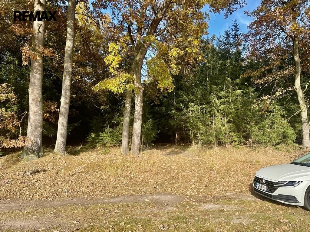 Prodej pozemku 1919 m² - foto 6