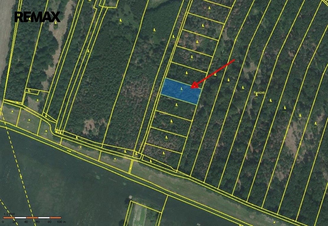 Prodej pozemku 1919 m² - foto 11