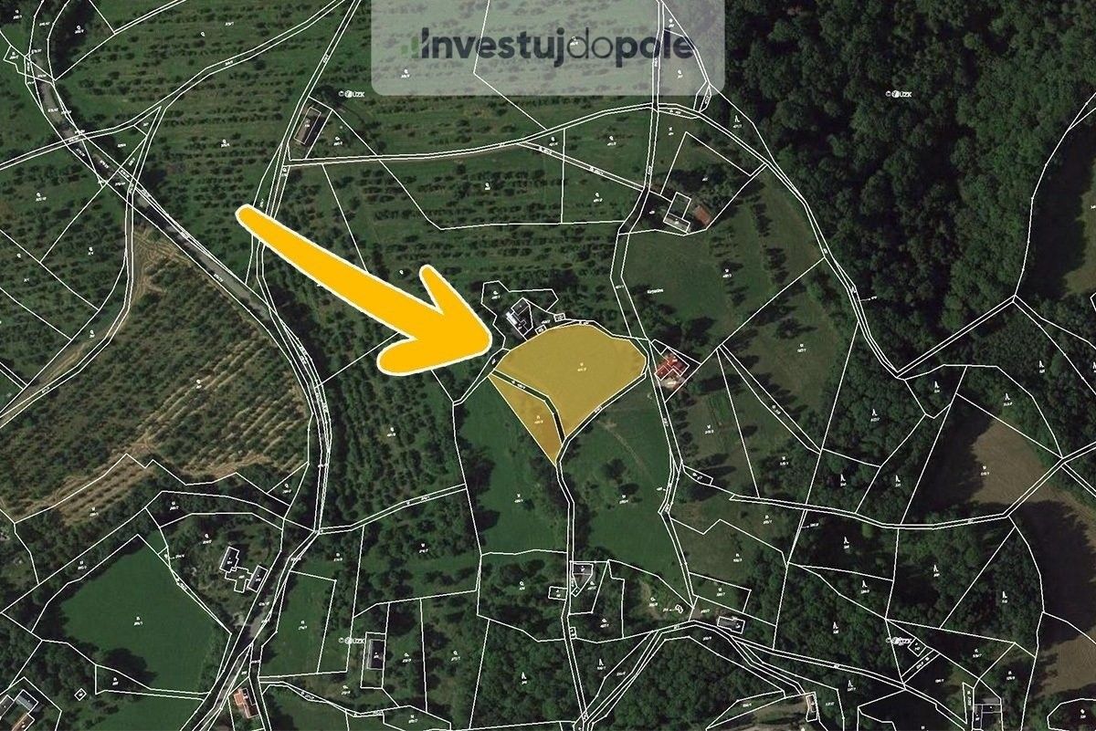 Prodej pozemku 5567 m² - foto 4