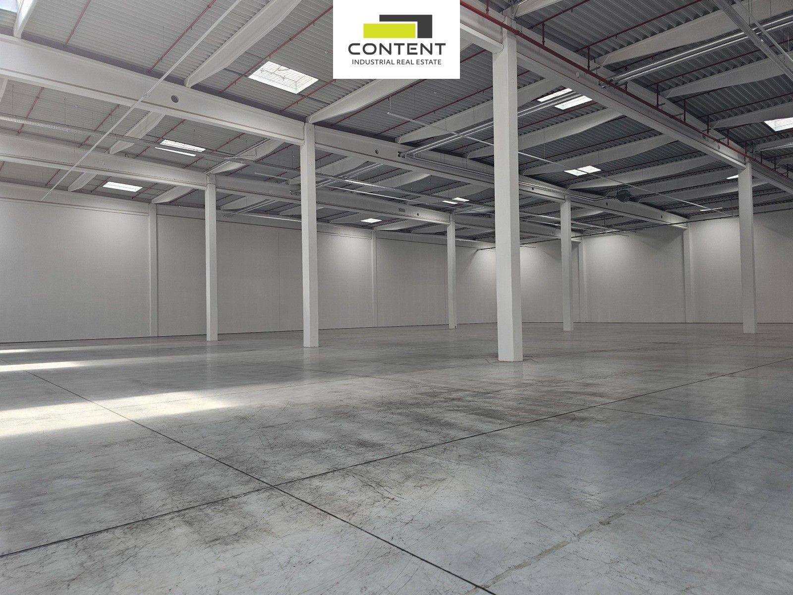 Pronájem komerčního prostoru 1315 m² - foto 6