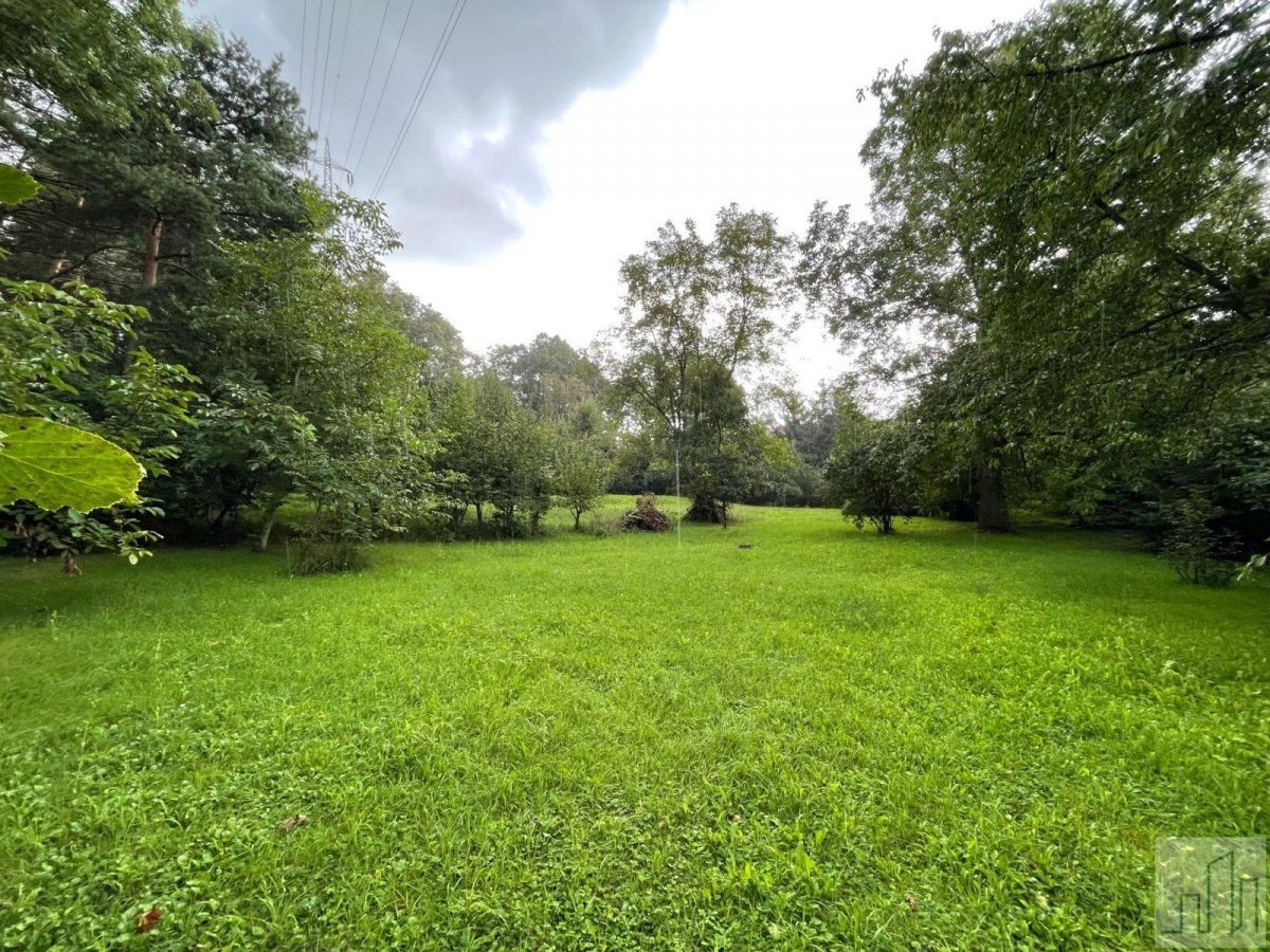 Prodej pozemku 2738 m² - foto 2