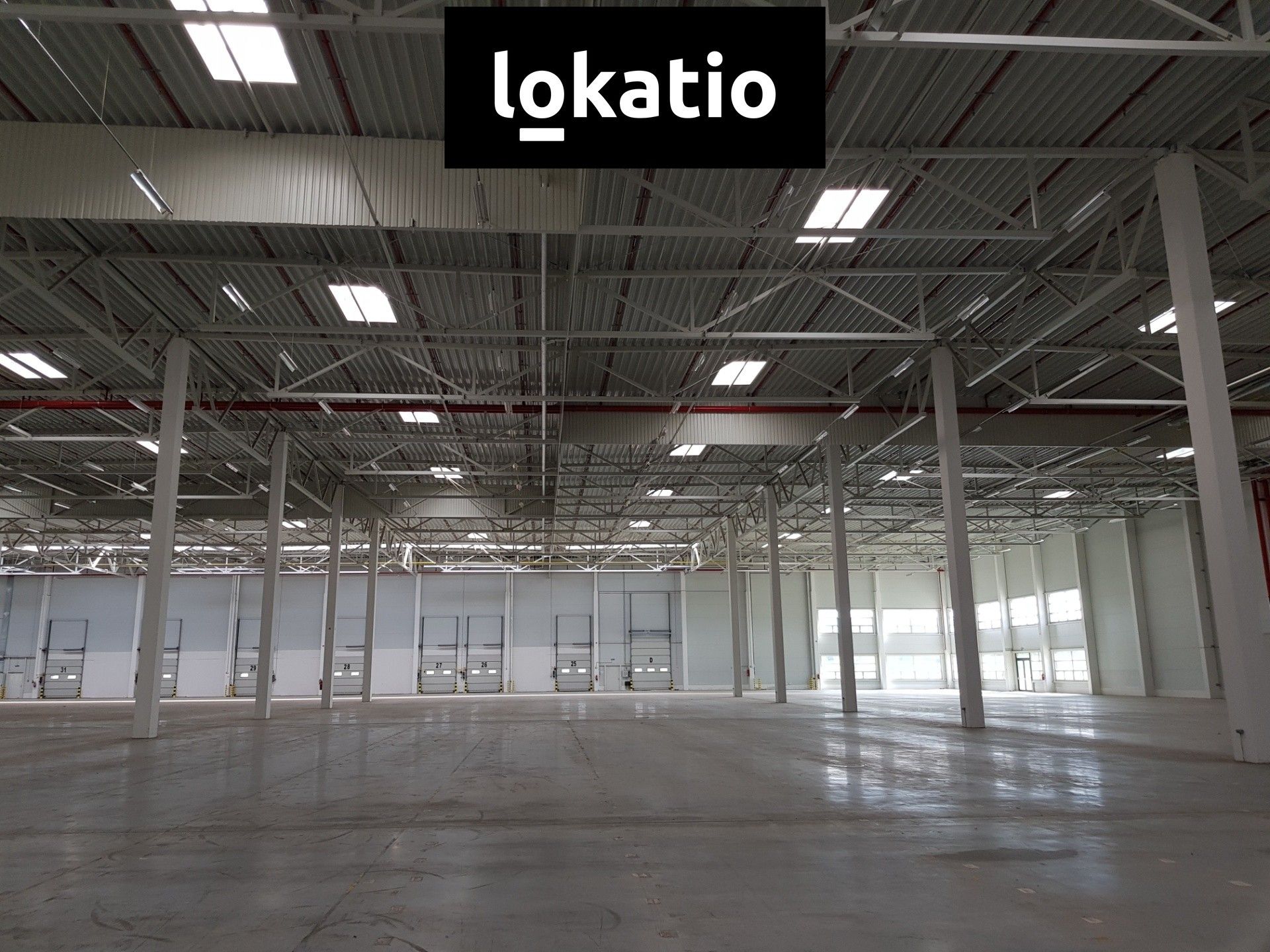 Pronájem komerčního prostoru 19910 m² - foto 4