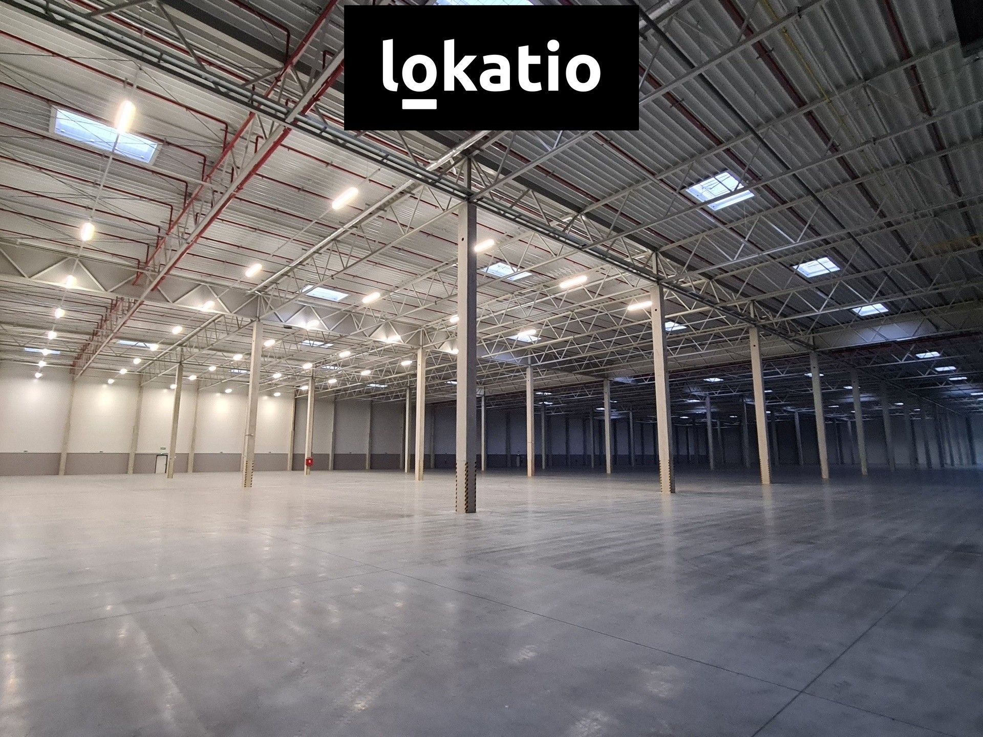 Pronájem komerčního prostoru 5672 m² - foto 3
