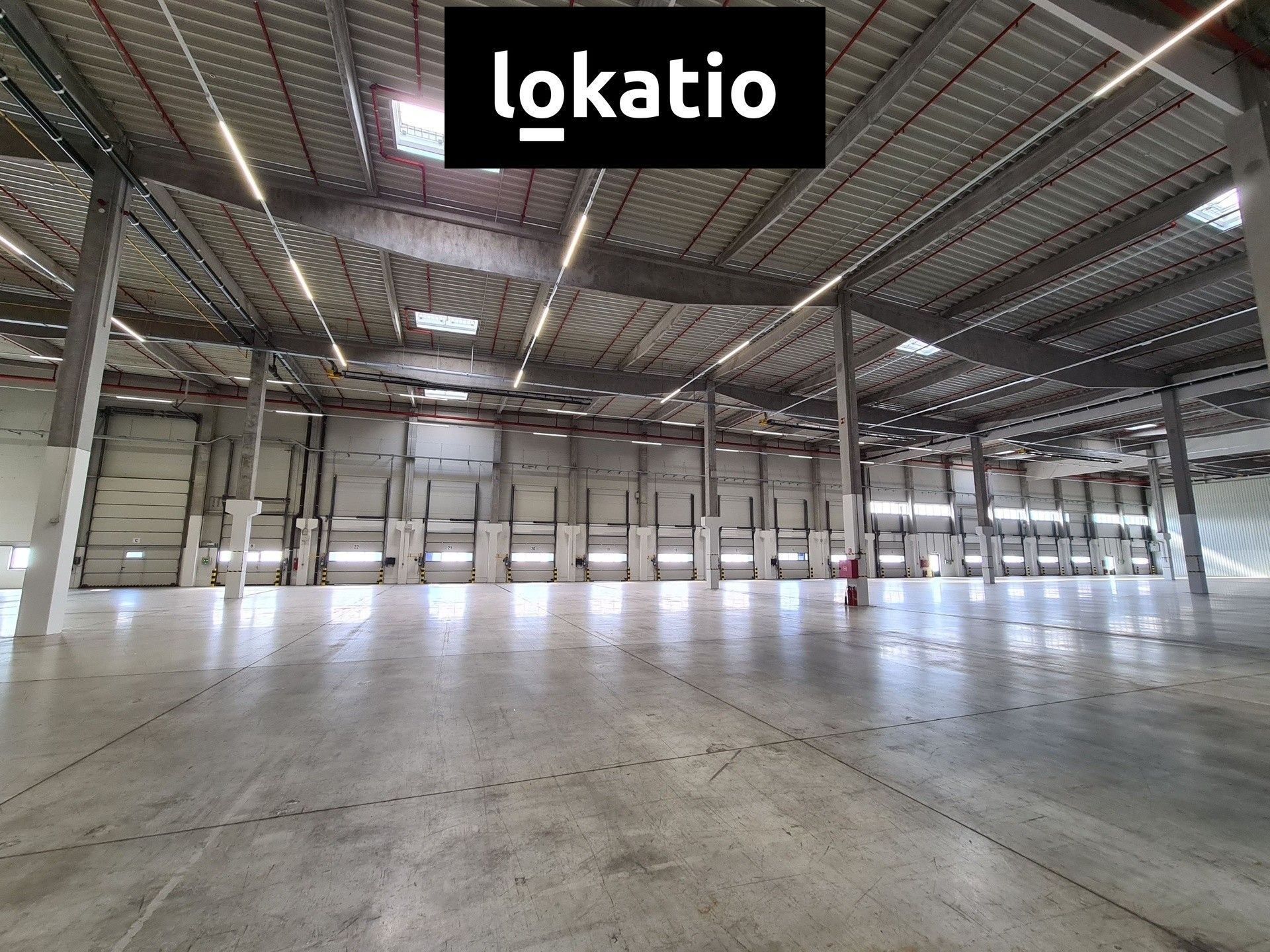 Pronájem komerčního prostoru 5672 m² - foto 4