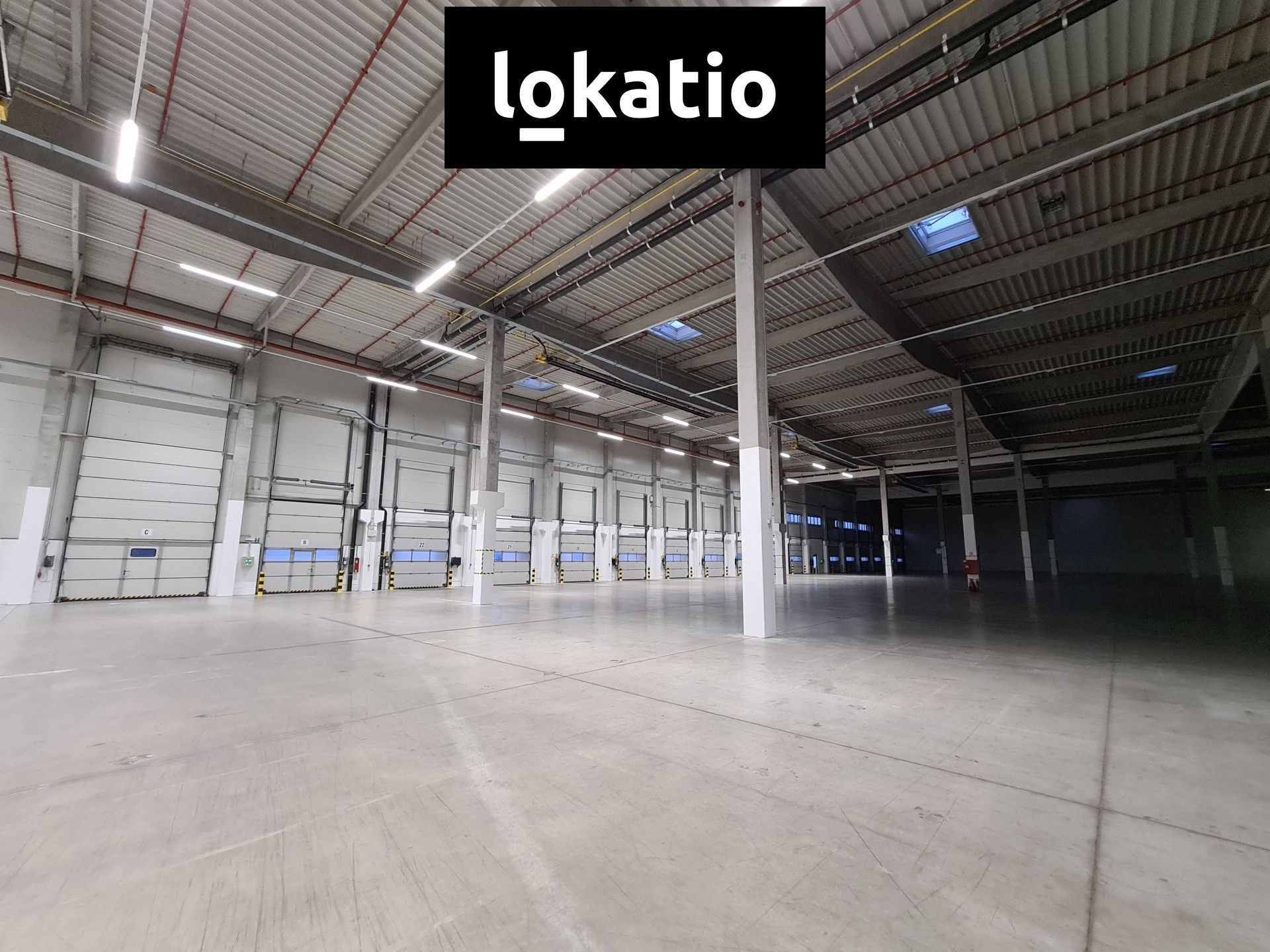 Pronájem komerčního prostoru 5672 m² - foto 5