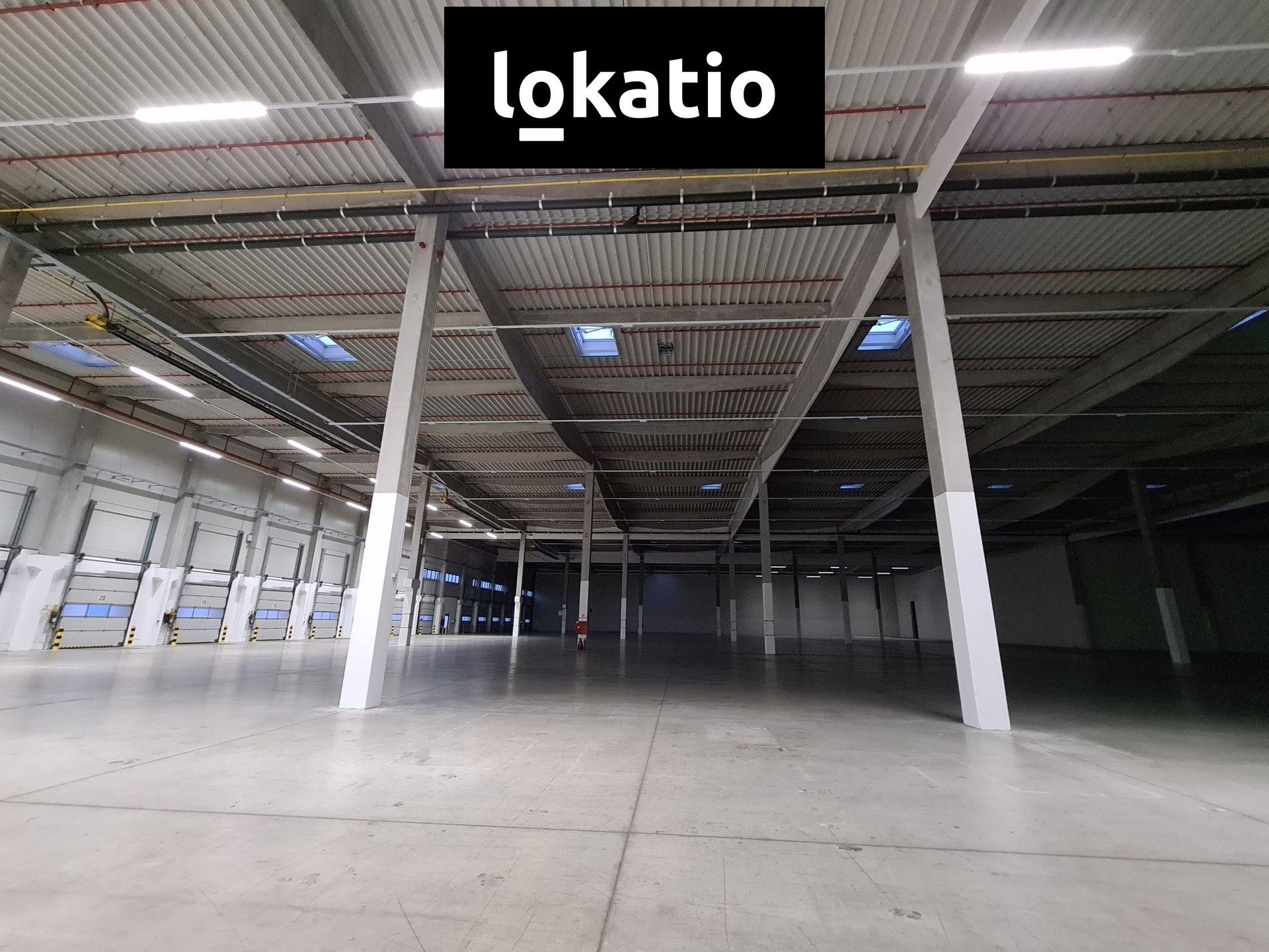 Pronájem komerčního prostoru 5672 m² - foto 8