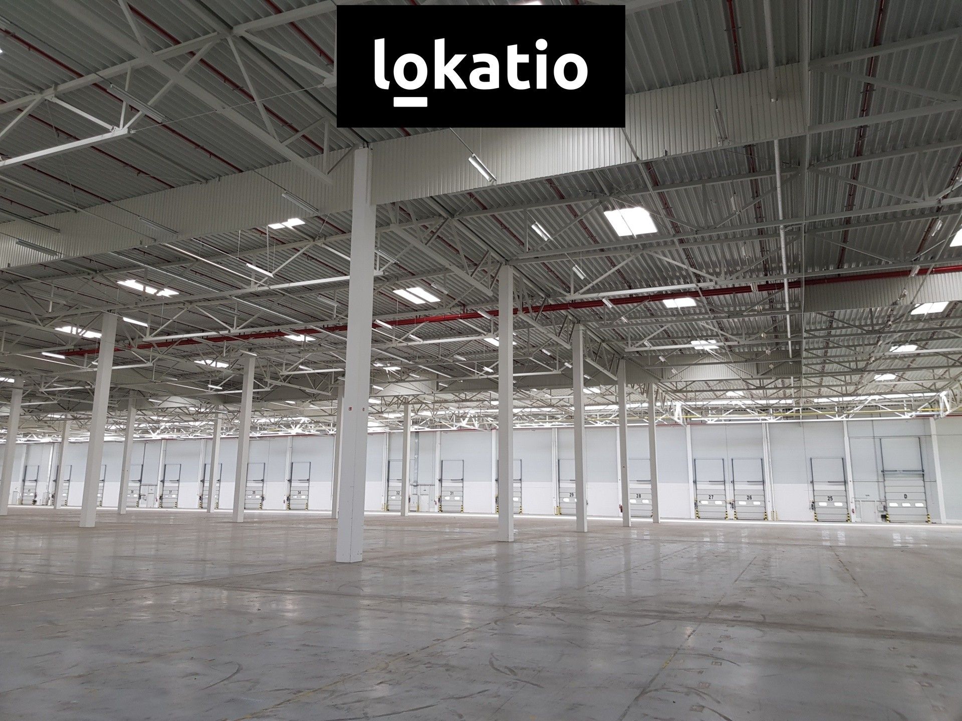 Pronájem komerčního prostoru 19910 m² - foto 10