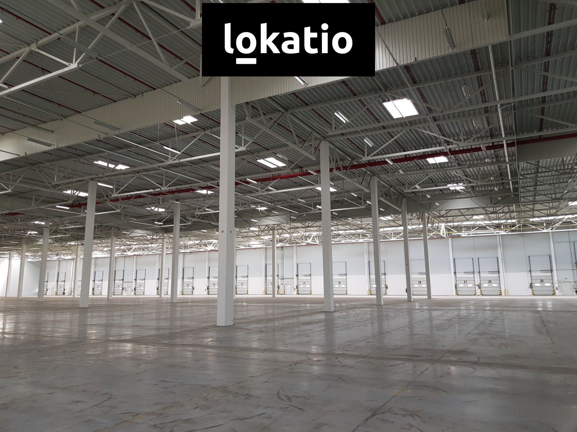 Pronájem komerčního prostoru 19910 m² - foto 11