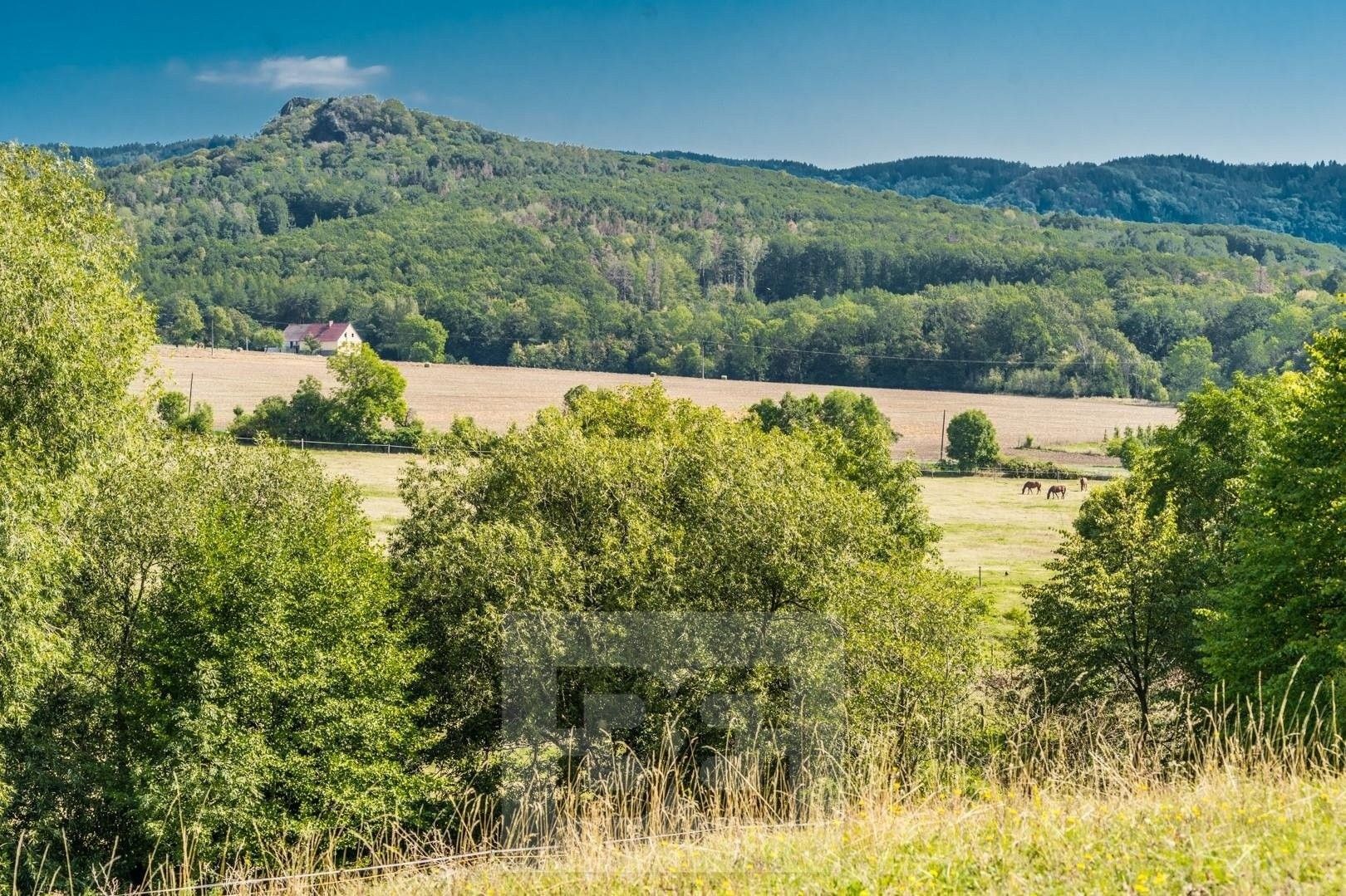 Prodej domu 400 m² - foto 6