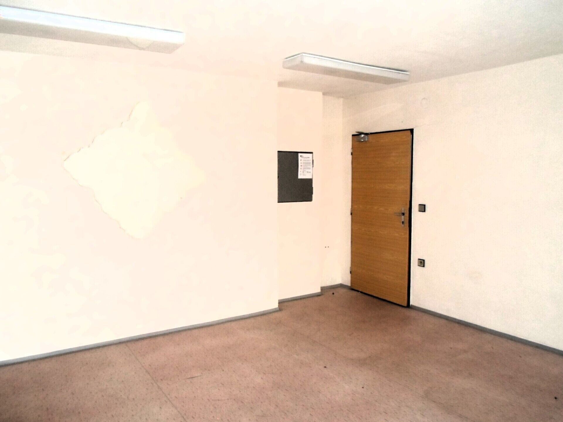 Prodej komerčního prostoru 364 m² - foto 8