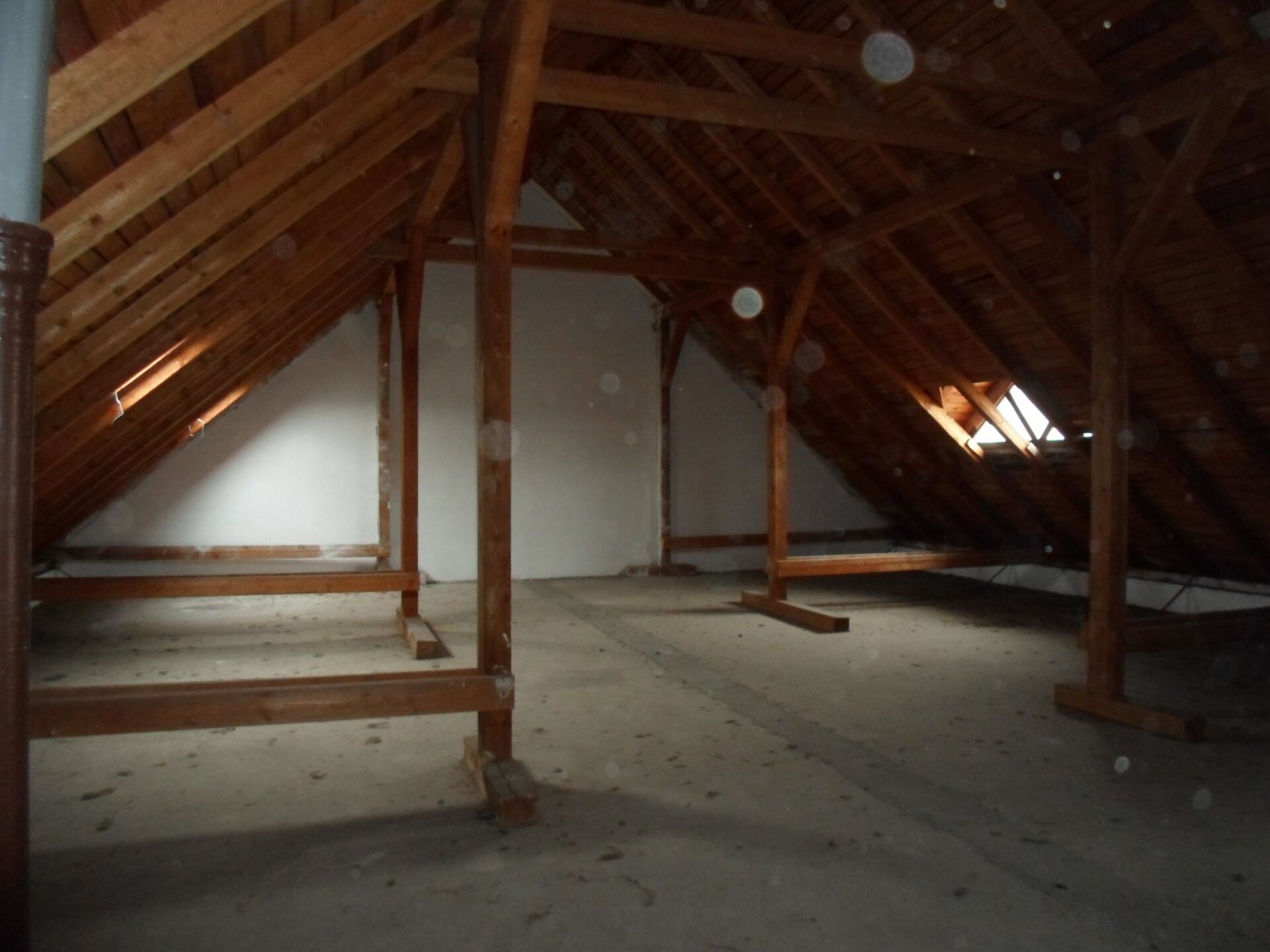 Prodej komerčního prostoru 364 m² - foto 9