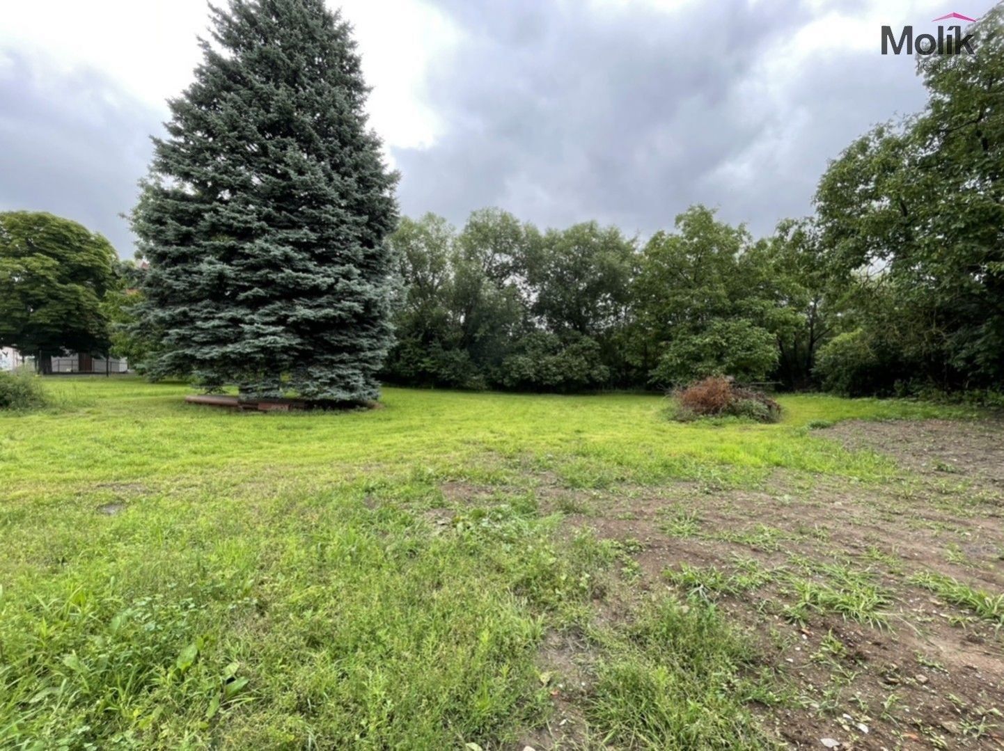 Prodej pozemku 1000 m² - foto 3