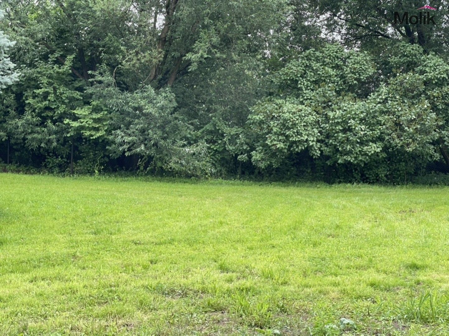 Prodej pozemku 1000 m² - foto 5