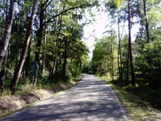 Prodej domu 150 m² - foto 3
