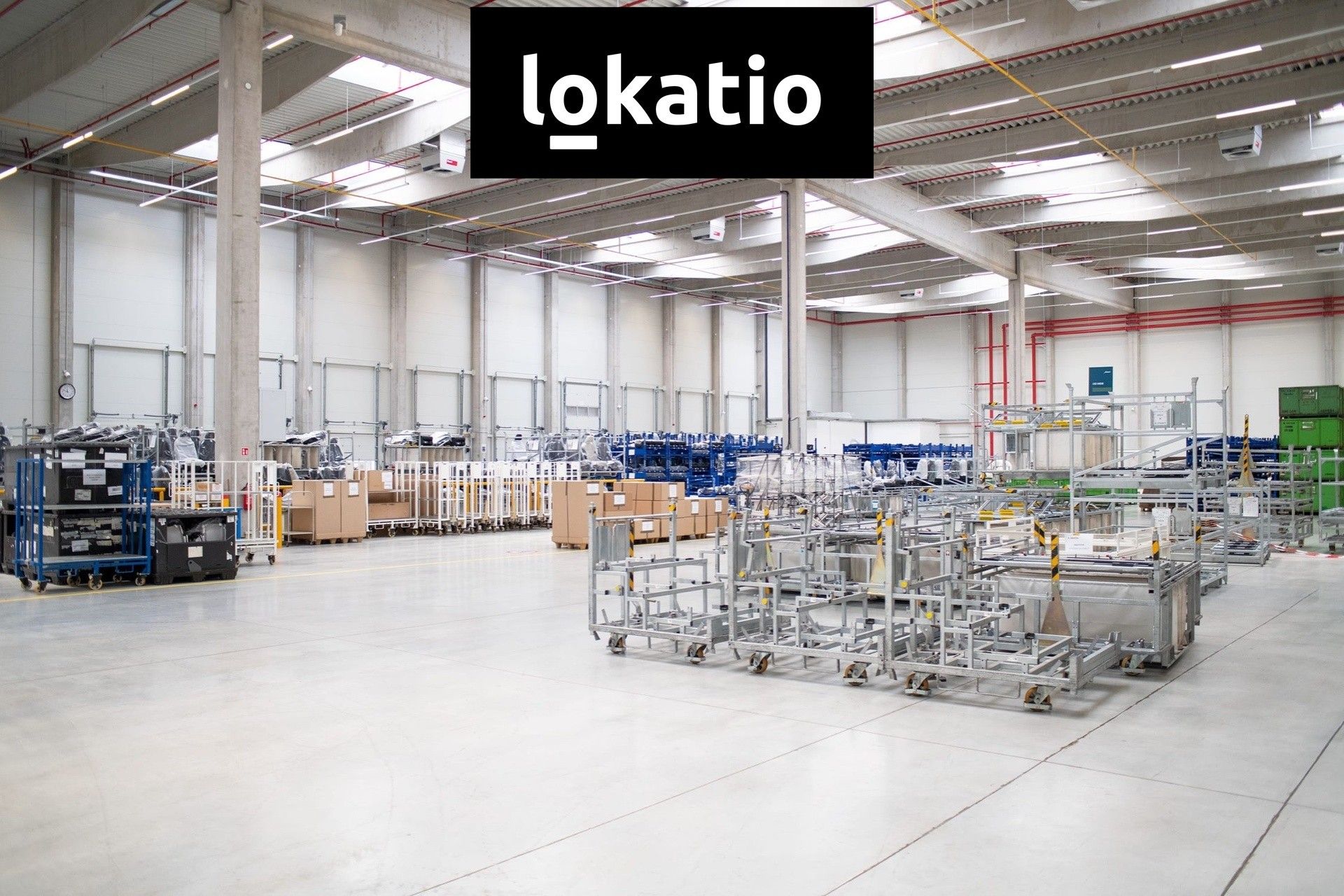 Pronájem komerčního prostoru 5456 m² - foto 4