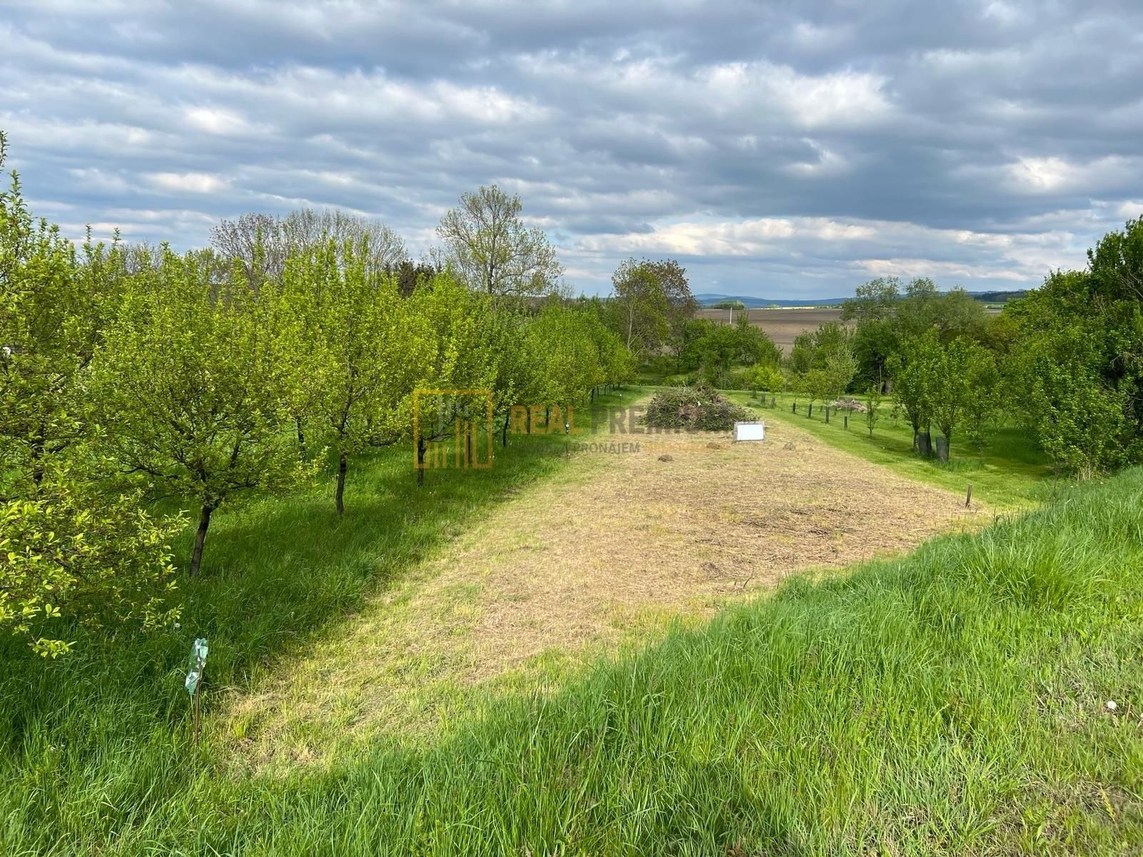 Prodej pozemku 3858 m² - foto 2