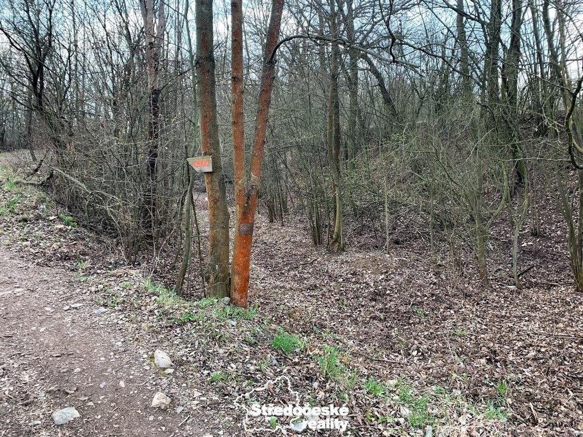 Prodej nemovitosti - foto 5
