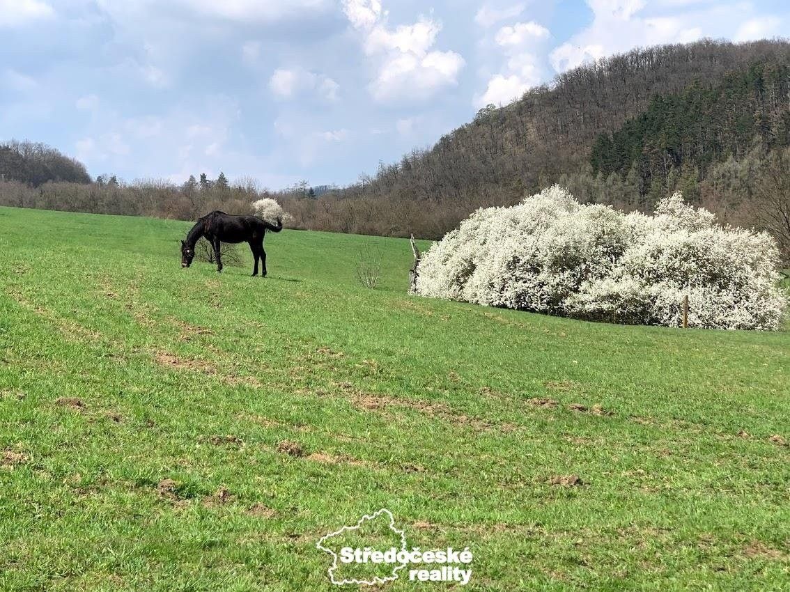 Prodej nemovitosti - foto 10