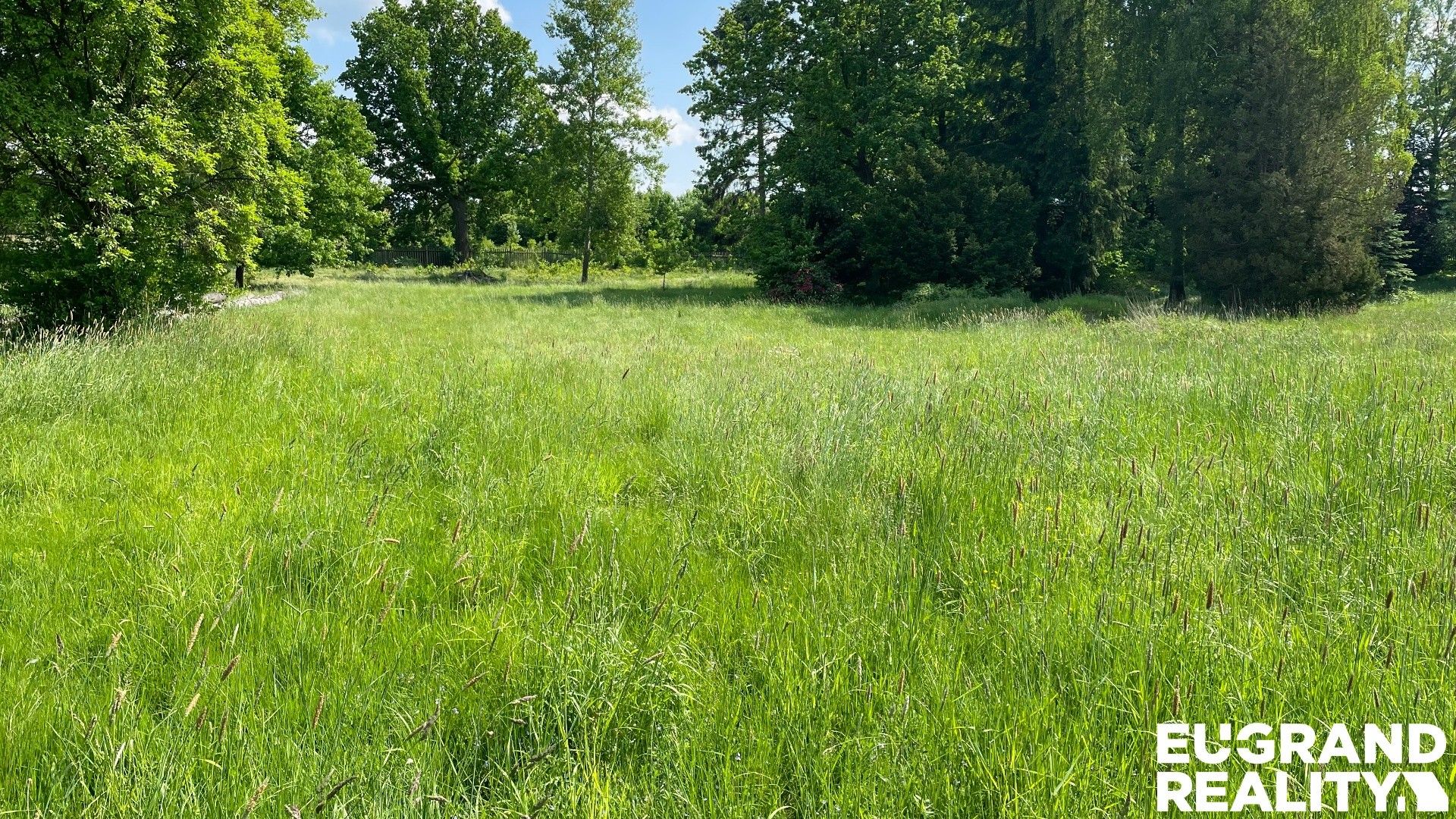 Prodej pozemku 15799 m² - foto 4