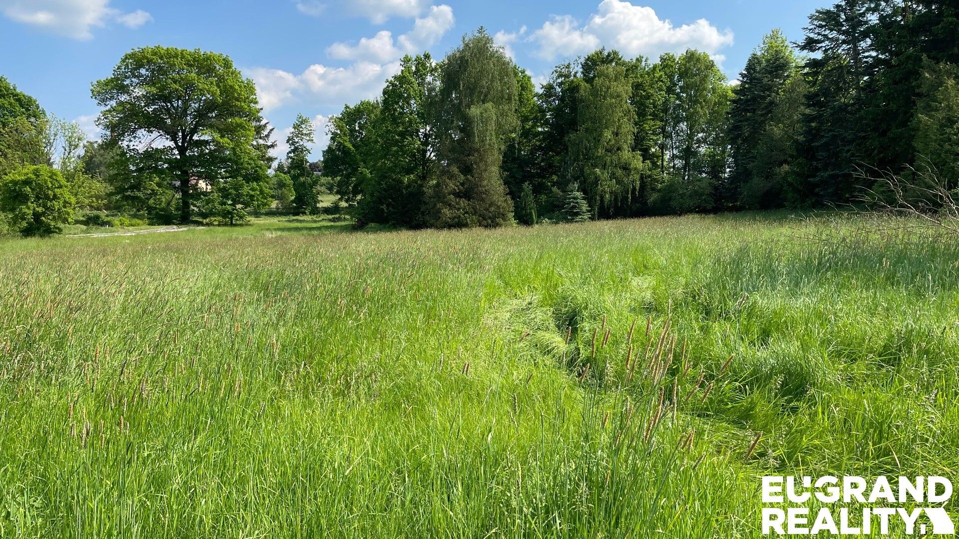 Prodej pozemku 15799 m² - foto 11