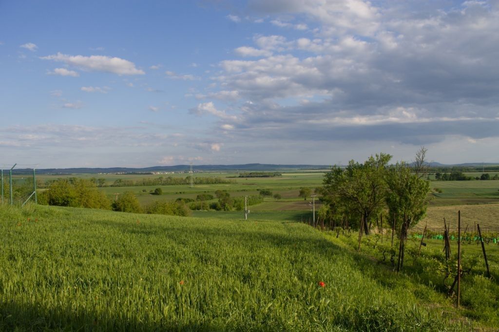 Prodej pozemku 2706 m² - foto 4