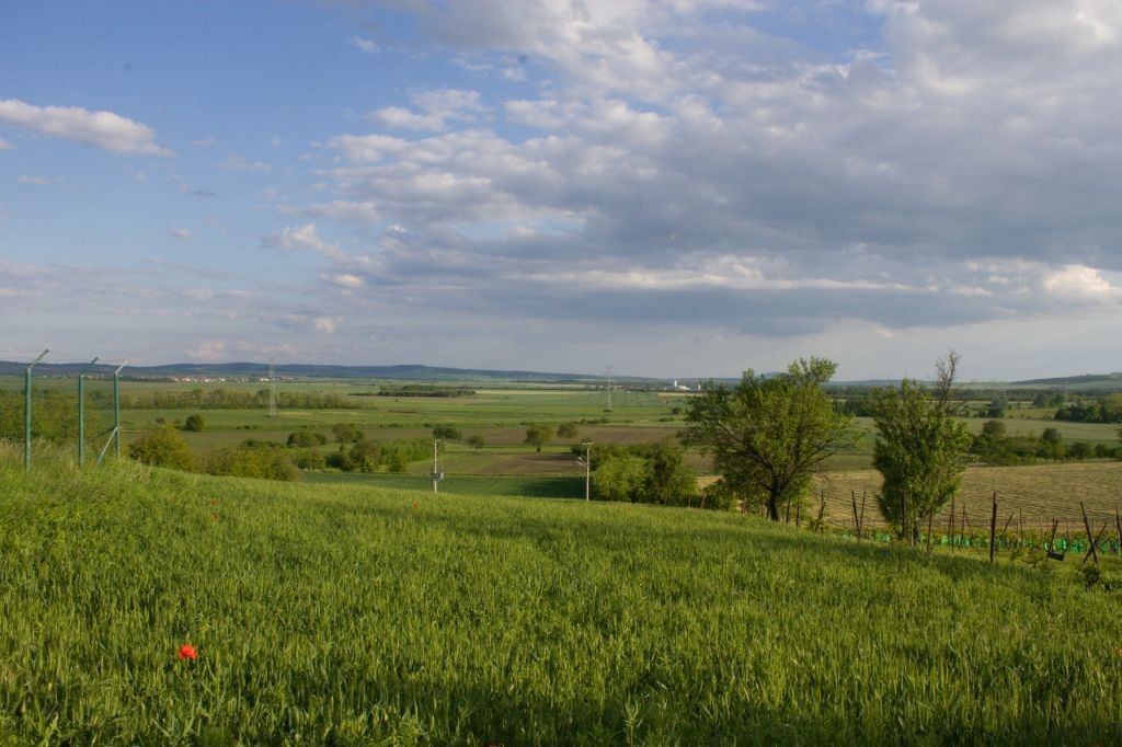 Prodej pozemku 2706 m² - foto 6