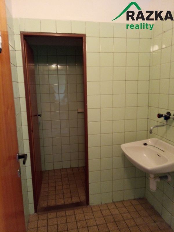 Pronájem komerčního prostoru 200 m² - foto 4