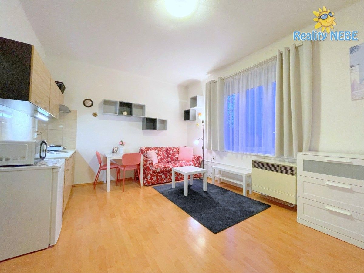 Pronájem bytu 1+kk 25 m² - foto 4
