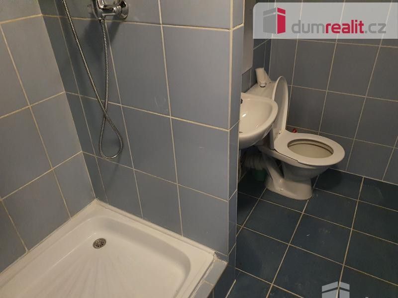 Pronájem bytu 1+1 36 m² - foto 7