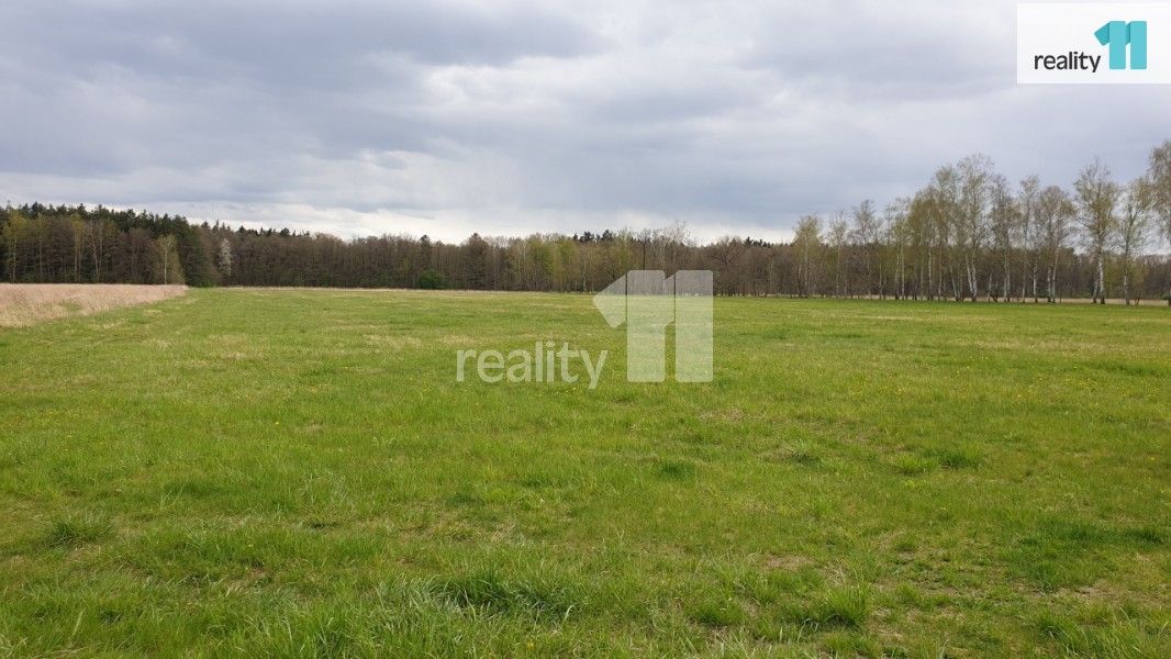 Prodej pozemku 33989 m² - foto 3