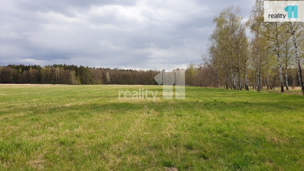 Prodej pozemku 33989 m² - foto 4