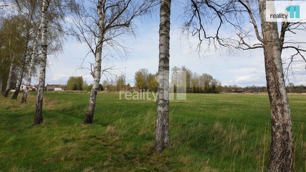Prodej pozemku 33989 m² - foto 7