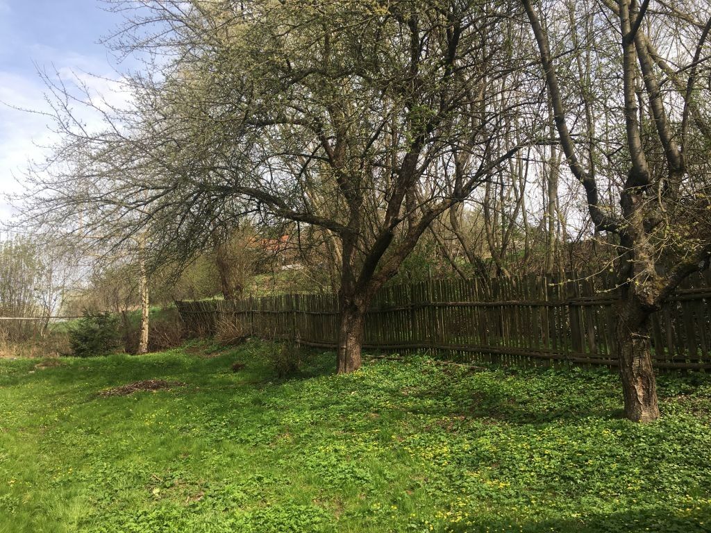 Prodej pozemku 961 m² - foto 5