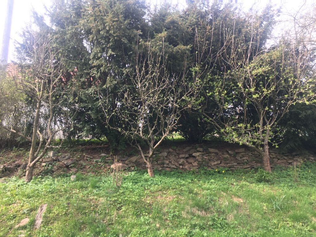 Prodej pozemku 961 m² - foto 8