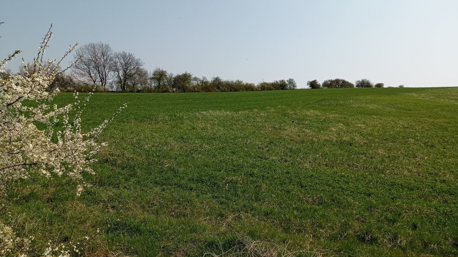 Prodej nemovitosti 6023 m² - foto 4
